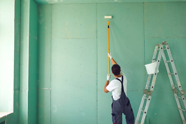 Best Mold Damage Restoration  in Corrales, NM