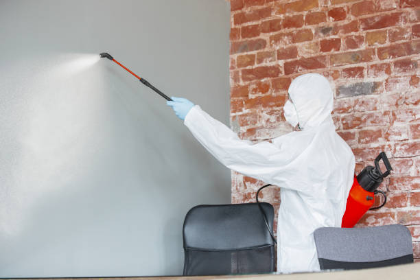 Best Post-Construction Mold Inspection  in Corrales, NM