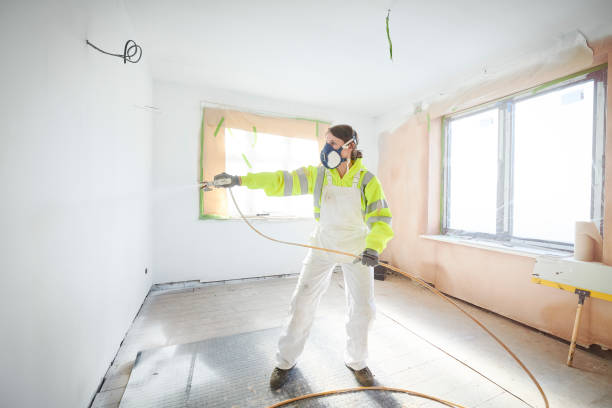  Corrales, NM Mold Removal Pros