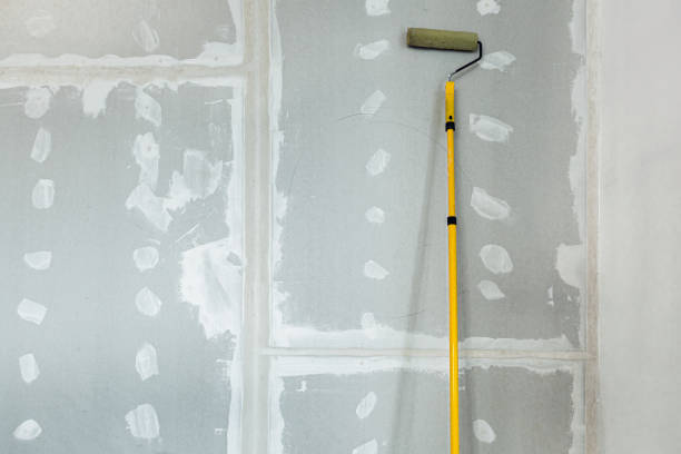 Reliable Corrales, NM Mold Removal Solutions