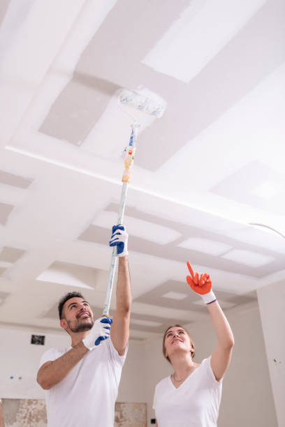 Best Industrial Mold Remediation  in Corrales, NM