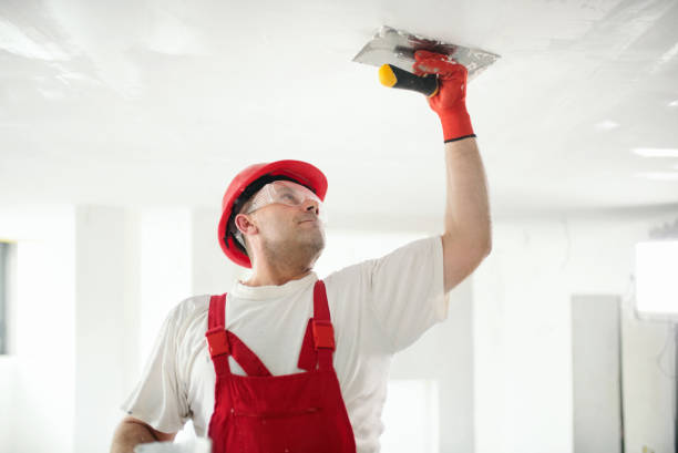 Best Commercial Mold Inspection  in Corrales, NM