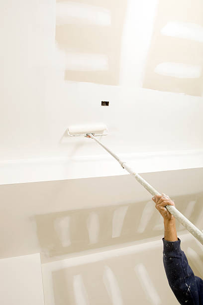 Best Mold Removal for HVAC Installations  in Corrales, NM