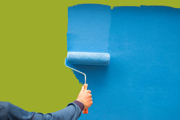 Best Black Mold Removal  in Corrales, NM