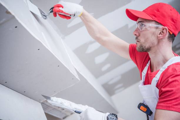 Best Asbestos and Lead Testing During Mold Inspection  in Corrales, NM